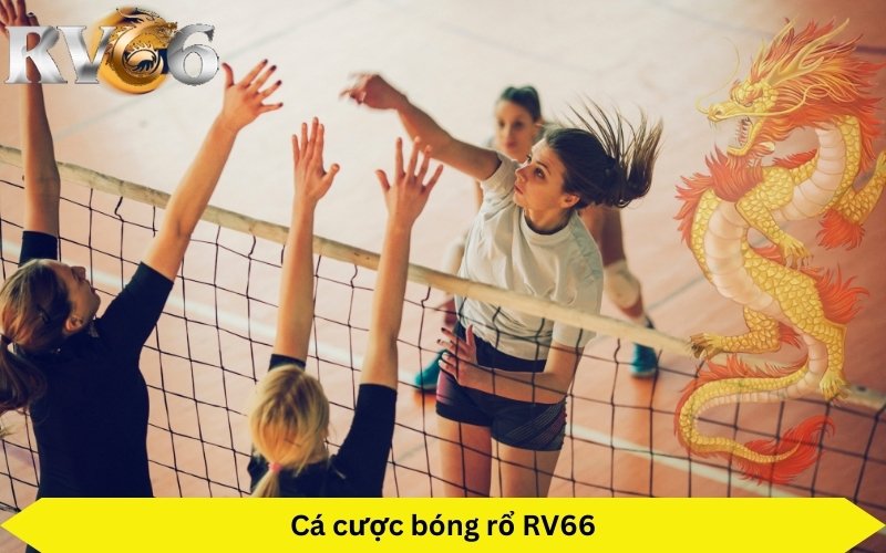 sảnh cá cược bóng rổ trực tuyến RV66