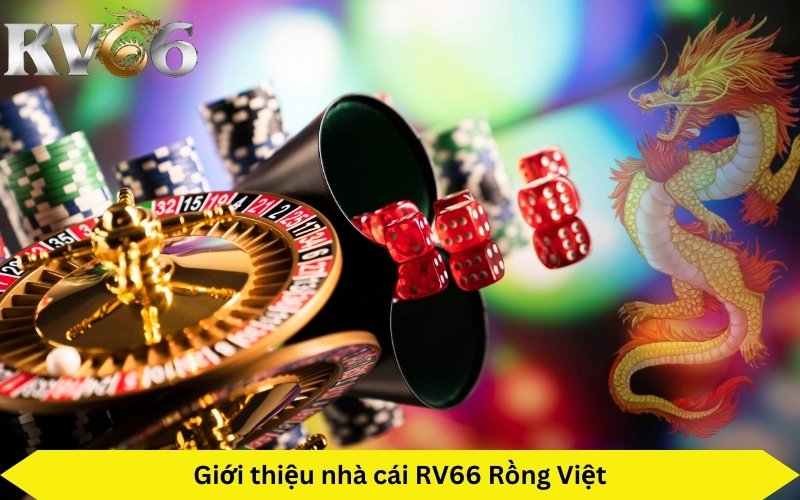 RV66 Rồng Việt nhà cái uy tín nhất hiện nay