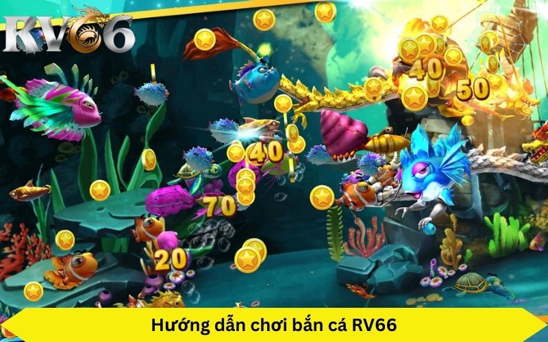 hướng dẫn chơi bắn cá đổi thưởng nhà cái Rồng Việt