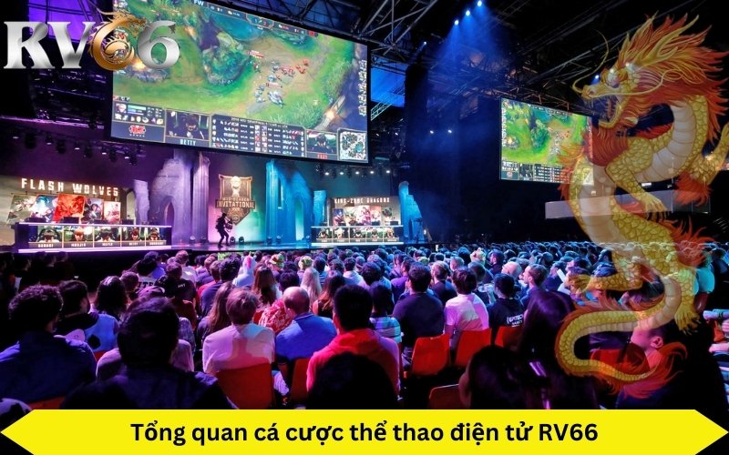 Tổng quan cá cược thể thao điện tử RV66