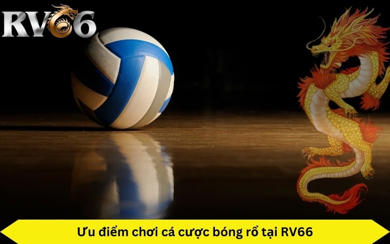 sảnh game bóng rổ tỷ lệ kèo đa dạng các trận đấu diễn ra liên tục