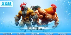 Đá Gà Thomo