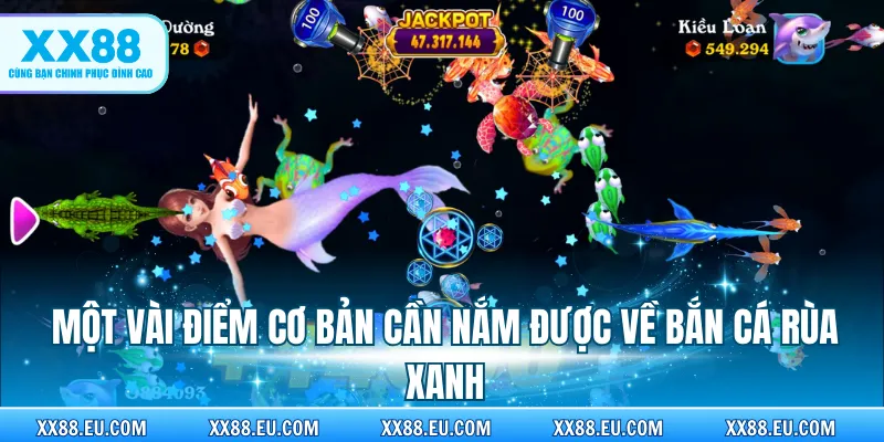 Một vài điểm cơ bản cần nắm được về bắn cá rùa xanh